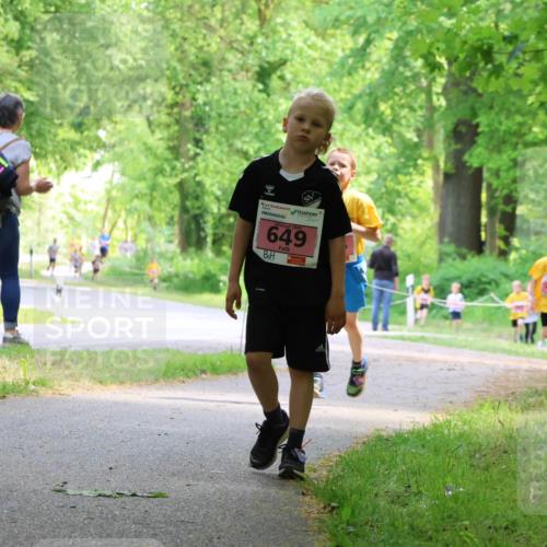17.05.2025 - Störlauf Strokosch-Dieckow http://msf.ph/oto/7849242 17.05.2025 13:54:03 Laufen 2025, 649 meine-sportfotos.de