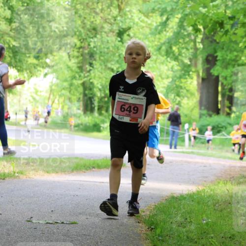 17.05.2025 - Störlauf Strokosch-Dieckow http://msf.ph/oto/7849250 17.05.2025 13:54:03 Laufen 986, 649 meine-sportfotos.de