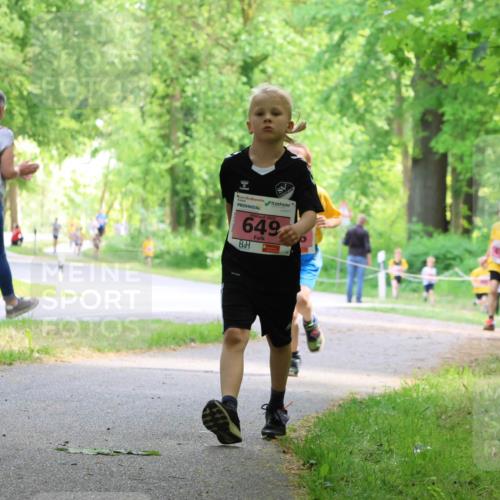 17.05.2025 - Störlauf Strokosch-Dieckow http://msf.ph/oto/7849254 17.05.2025 13:54:03 Laufen 649 meine-sportfotos.de