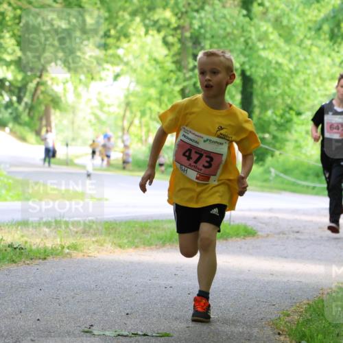 17.05.2025 - Störlauf Strokosch-Dieckow http://msf.ph/oto/7849258 17.05.2025 13:54:08 Laufen 2025, 473, 642, 645 meine-sportfotos.de
