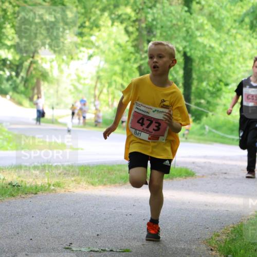 17.05.2025 - Störlauf Strokosch-Dieckow http://msf.ph/oto/7849261 17.05.2025 13:54:08 Laufen 2025, 473, 645 meine-sportfotos.de