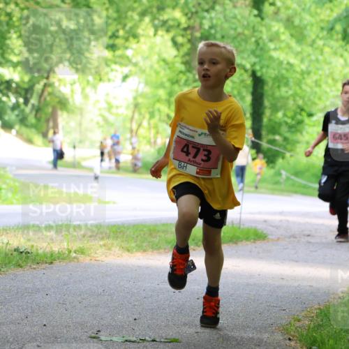 17.05.2025 - Störlauf Strokosch-Dieckow http://msf.ph/oto/7849265 17.05.2025 13:54:08 Laufen 2025, 473, 645, 642 meine-sportfotos.de