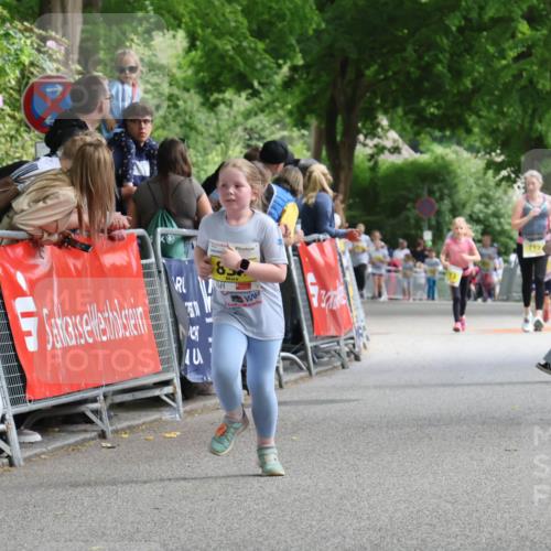 17.05.2025 - Störlauf Strokosch-Dieckow http://msf.ph/oto/7849269 17.05.2025 14:15:13 Ziel 40, 85, 792, 704 meine-sportfotos.de
