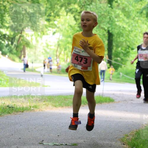 17.05.2025 - Störlauf Strokosch-Dieckow http://msf.ph/oto/7849270 17.05.2025 13:54:08 Laufen 2025, 473, 642 meine-sportfotos.de