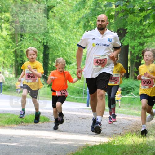 17.05.2025 - Störlauf Strokosch-Dieckow http://msf.ph/oto/7849306 17.05.2025 13:54:15 Laufen 464, 421, 422, 545, 550, 443 meine-sportfotos.de