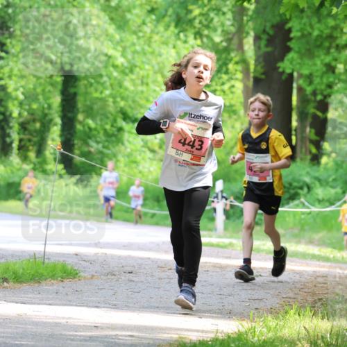 17.05.2025 - Störlauf Strokosch-Dieckow http://msf.ph/oto/7849339 17.05.2025 13:54:20 Laufen 443, 555 meine-sportfotos.de