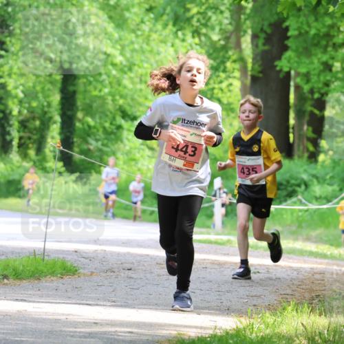 17.05.2025 - Störlauf Strokosch-Dieckow http://msf.ph/oto/7849344 17.05.2025 13:54:20 Laufen 0, 2025, 443, 435, 555 meine-sportfotos.de