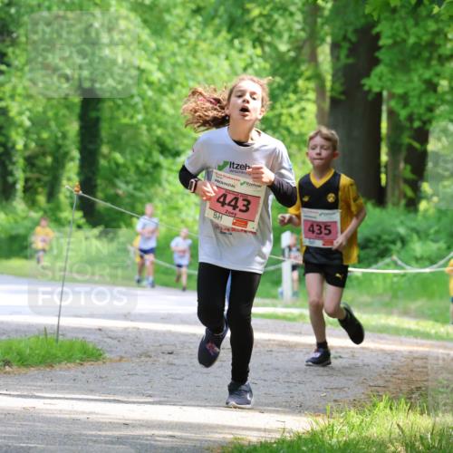 17.05.2025 - Störlauf Strokosch-Dieckow http://msf.ph/oto/7849347 17.05.2025 13:54:20 Laufen 2025, 443, 435, 555 meine-sportfotos.de