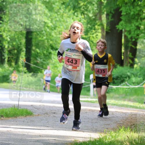 17.05.2025 - Störlauf Strokosch-Dieckow http://msf.ph/oto/7849351 17.05.2025 13:54:20 Laufen 443, 435, 555 meine-sportfotos.de