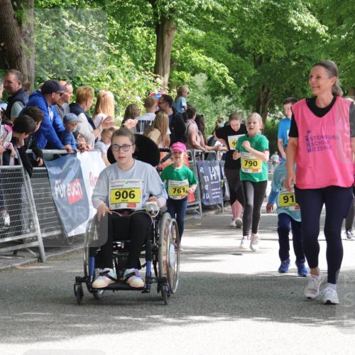 17.05.2025 - Störlauf Strokosch-Dieckow http://msf.ph/oto/7849361 17.05.2025 14:16:24 Ziel 906, 761, 40, 790, 91, 852 meine-sportfotos.de