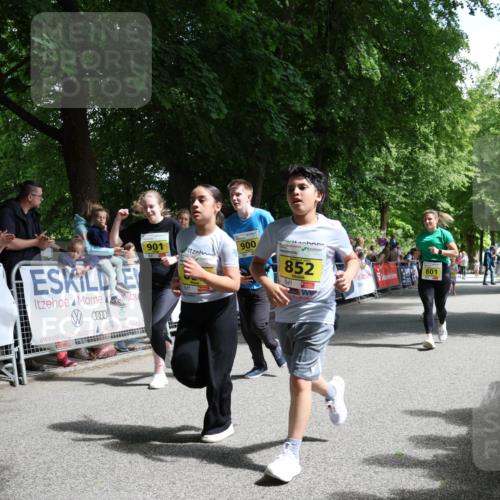 17.05.2025 - Störlauf Strokosch-Dieckow http://msf.ph/oto/7849388 17.05.2025 14:16:31 Ziel 000, 901, 900, 852, 801 meine-sportfotos.de