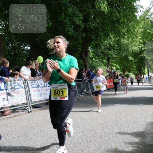 17.05.2025 - Störlauf Strokosch-Dieckow http://msf.ph/oto/7849394 17.05.2025 14:16:33 Ziel 801, 966 meine-sportfotos.de