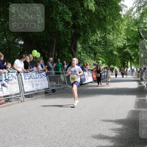 17.05.2025 - Störlauf Strokosch-Dieckow http://msf.ph/oto/7849396 17.05.2025 14:16:34 Ziel 2025, 01, 966 meine-sportfotos.de