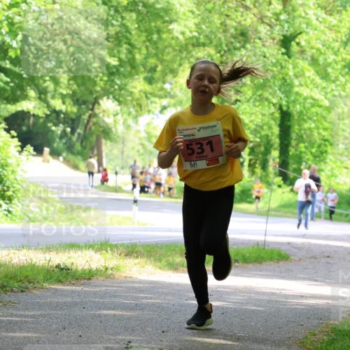 17.05.2025 - Störlauf Strokosch-Dieckow http://msf.ph/oto/7849397 17.05.2025 13:54:34 Laufen 531 meine-sportfotos.de