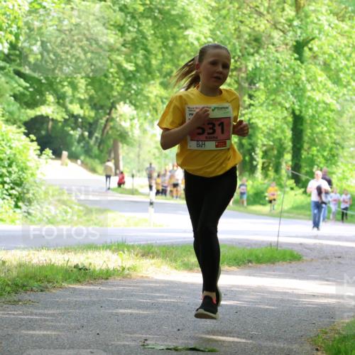 17.05.2025 - Störlauf Strokosch-Dieckow http://msf.ph/oto/7849405 17.05.2025 13:54:34 Laufen 2025, 531 meine-sportfotos.de