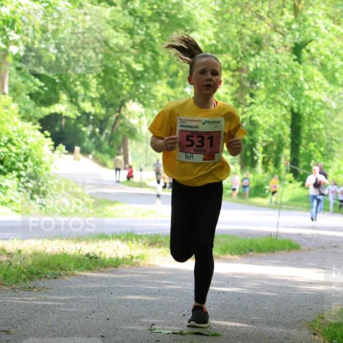 17.05.2025 - Störlauf Strokosch-Dieckow http://msf.ph/oto/7849413 17.05.2025 13:54:34 Laufen 2025, 531 meine-sportfotos.de