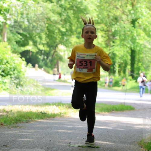 17.05.2025 - Störlauf Strokosch-Dieckow http://msf.ph/oto/7849417 17.05.2025 13:54:34 Laufen 531 meine-sportfotos.de