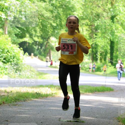 17.05.2025 - Störlauf Strokosch-Dieckow http://msf.ph/oto/7849422 17.05.2025 13:54:34 Laufen 2025, 531 meine-sportfotos.de