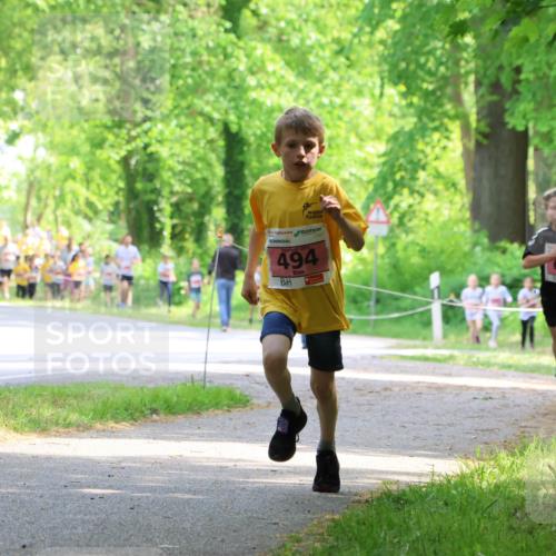 17.05.2025 - Störlauf Strokosch-Dieckow http://msf.ph/oto/7849425 17.05.2025 13:54:39 Laufen 494, 632, 640 meine-sportfotos.de