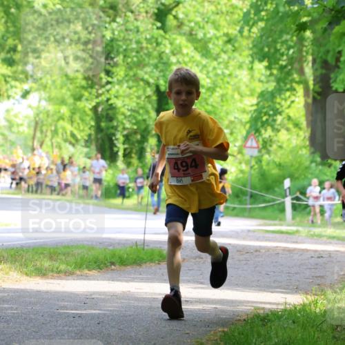 17.05.2025 - Störlauf Strokosch-Dieckow http://msf.ph/oto/7849433 17.05.2025 13:54:39 Laufen 494, 640, 632, 633 meine-sportfotos.de