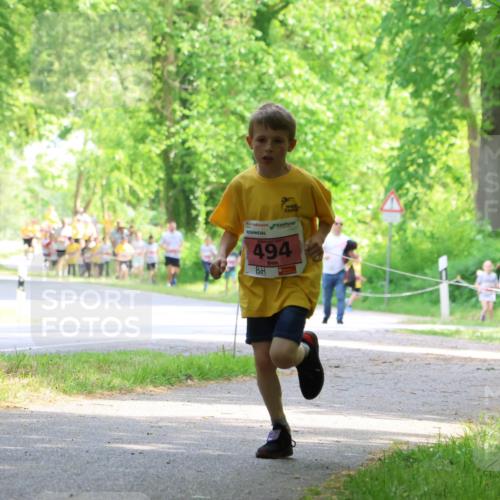 17.05.2025 - Störlauf Strokosch-Dieckow http://msf.ph/oto/7849442 17.05.2025 13:54:39 Laufen 494 meine-sportfotos.de