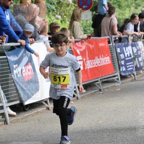 17.05.2025 - Störlauf Strokosch-Dieckow http://msf.ph/oto/7849445 17.05.2025 14:17:29 Ziel 2025, 817, 1204 meine-sportfotos.de