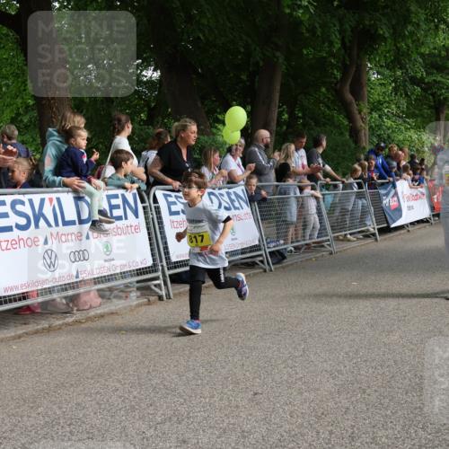 17.05.2025 - Störlauf Strokosch-Dieckow http://msf.ph/oto/7849450 17.05.2025 14:17:31 Ziel 0000, 817 meine-sportfotos.de