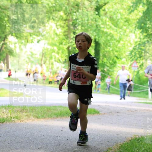 17.05.2025 - Störlauf Strokosch-Dieckow http://msf.ph/oto/7849451 17.05.2025 13:54:42 Laufen 640, 512, 32 meine-sportfotos.de