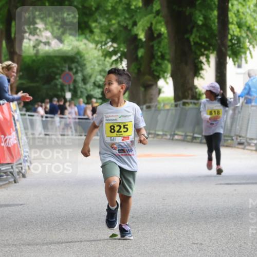 17.05.2025 - Störlauf Strokosch-Dieckow http://msf.ph/oto/7849455 17.05.2025 14:18:02 Ziel 8244, 2025, 825, 818 meine-sportfotos.de