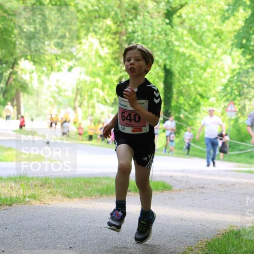 17.05.2025 - Störlauf Strokosch-Dieckow http://msf.ph/oto/7849456 17.05.2025 13:54:42 Laufen 202, 640, 637, 512 meine-sportfotos.de