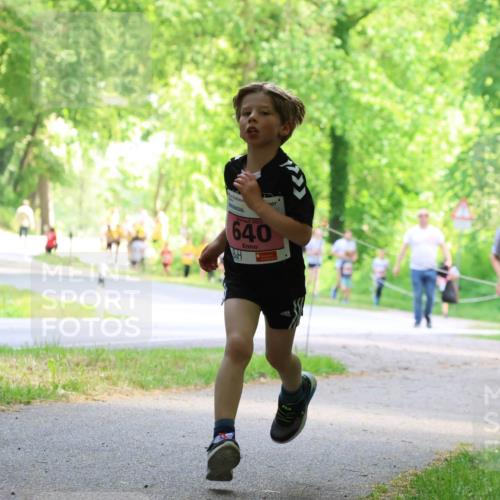 17.05.2025 - Störlauf Strokosch-Dieckow http://msf.ph/oto/7849460 17.05.2025 13:54:42 Laufen 202, 640, 633 meine-sportfotos.de