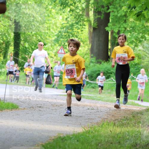 17.05.2025 - Störlauf Strokosch-Dieckow http://msf.ph/oto/7849484 17.05.2025 13:54:47 Laufen 538 meine-sportfotos.de