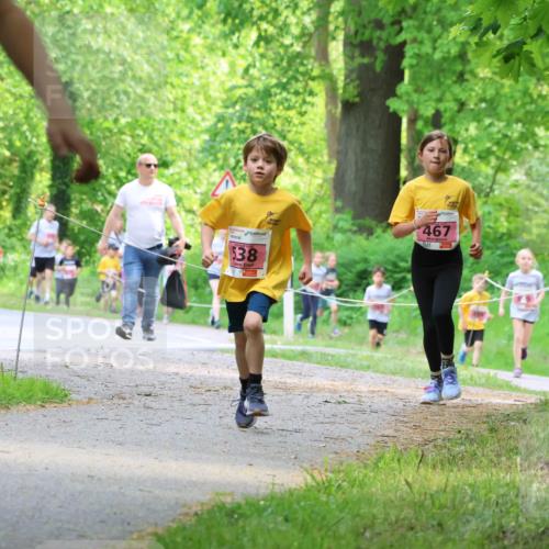 17.05.2025 - Störlauf Strokosch-Dieckow http://msf.ph/oto/7849496 17.05.2025 13:54:48 Laufen 538, 467 meine-sportfotos.de
