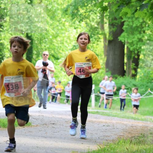 17.05.2025 - Störlauf Strokosch-Dieckow http://msf.ph/oto/7849500 17.05.2025 13:54:50 Laufen 538, 46 meine-sportfotos.de