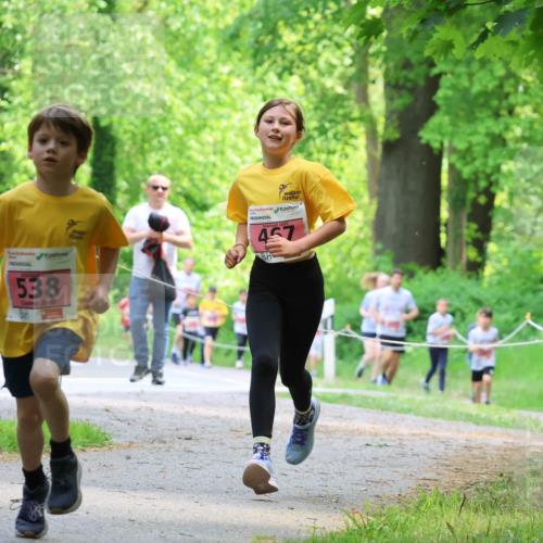 17.05.2025 - Störlauf Strokosch-Dieckow http://msf.ph/oto/7849507 17.05.2025 13:54:50 Laufen 538, 457 meine-sportfotos.de