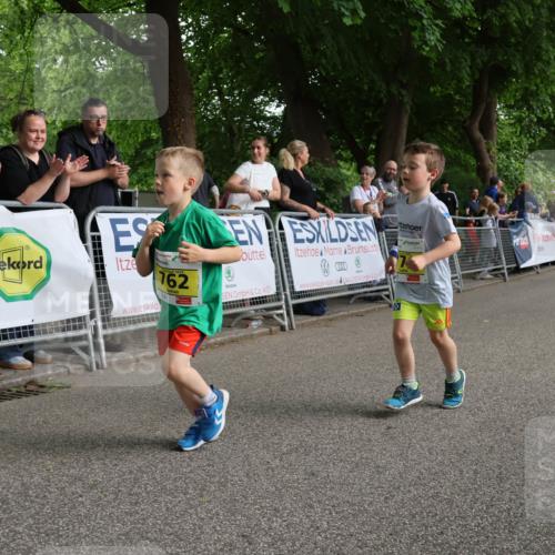 17.05.2025 - Störlauf Strokosch-Dieckow http://msf.ph/oto/7849531 17.05.2025 14:19:32 Ziel 762 meine-sportfotos.de