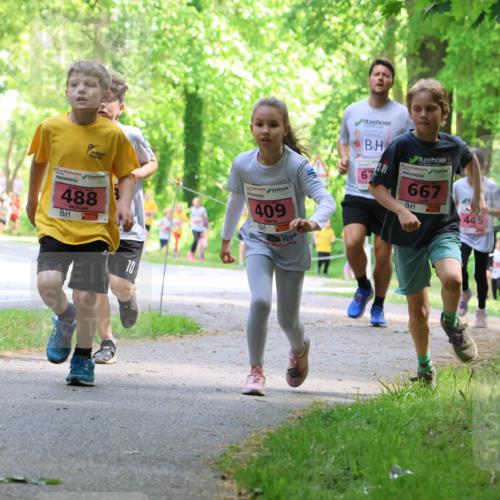 17.05.2025 - Störlauf Strokosch-Dieckow http://msf.ph/oto/7849561 17.05.2025 13:55:07 Laufen 488, 409, 67, 667, 445, 669 meine-sportfotos.de