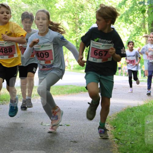 17.05.2025 - Störlauf Strokosch-Dieckow http://msf.ph/oto/7849585 17.05.2025 13:55:09 Laufen 488, 409, 10, 667, 145, 669, 455, 440, 430 meine-sportfotos.de