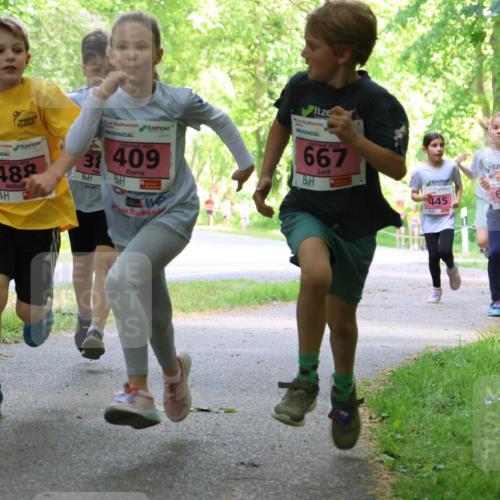 17.05.2025 - Störlauf Strokosch-Dieckow http://msf.ph/oto/7849589 17.05.2025 13:55:09 Laufen 488, 2025, 3409, 667, 445, 669, 455, 44 meine-sportfotos.de