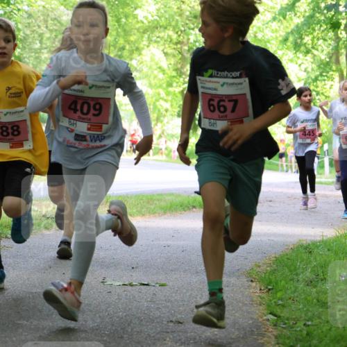 17.05.2025 - Störlauf Strokosch-Dieckow http://msf.ph/oto/7849593 17.05.2025 13:55:09 Laufen 488, 409, 2025, 667, 445, 669, 430 meine-sportfotos.de