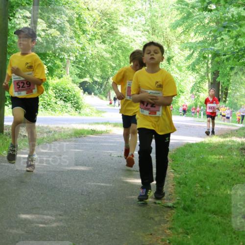 17.05.2025 - Störlauf Strokosch-Dieckow http://msf.ph/oto/7849645 17.05.2025 13:55:21 Laufen 529, 663 meine-sportfotos.de