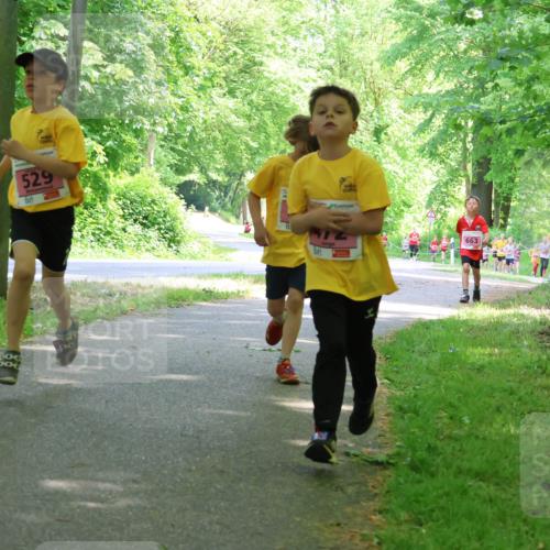 17.05.2025 - Störlauf Strokosch-Dieckow http://msf.ph/oto/7849647 17.05.2025 13:55:21 Laufen 529, 663 meine-sportfotos.de