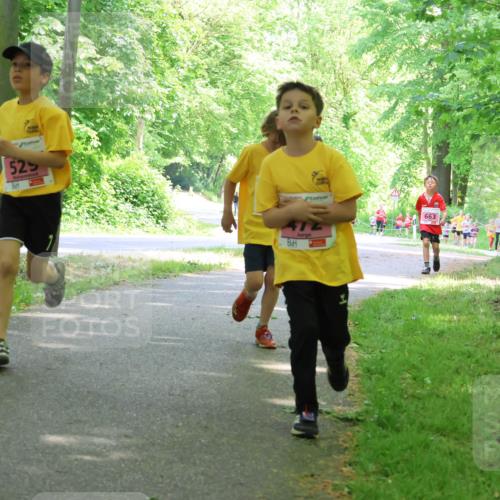 17.05.2025 - Störlauf Strokosch-Dieckow http://msf.ph/oto/7849649 17.05.2025 13:55:21 Laufen 525, 412, 663 meine-sportfotos.de