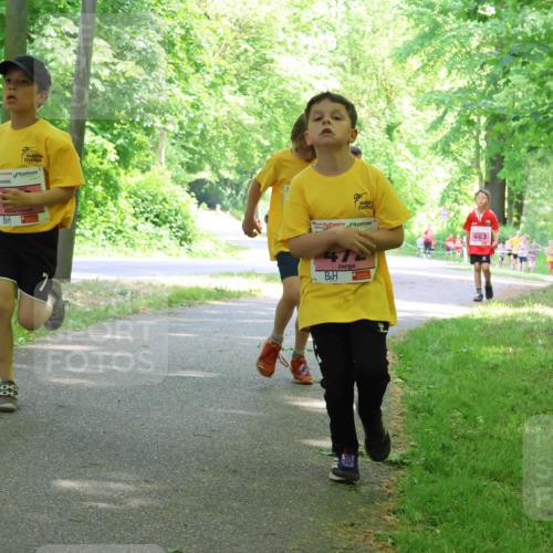 17.05.2025 - Störlauf Strokosch-Dieckow http://msf.ph/oto/7849651 17.05.2025 13:55:21 Laufen 663, 47 meine-sportfotos.de