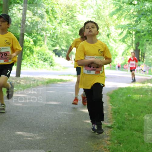 17.05.2025 - Störlauf Strokosch-Dieckow http://msf.ph/oto/7849653 17.05.2025 13:55:21 Laufen 529 meine-sportfotos.de