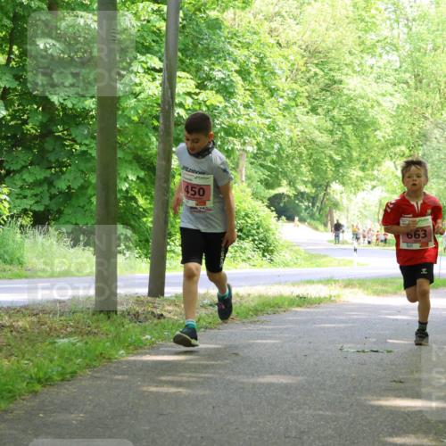 17.05.2025 - Störlauf Strokosch-Dieckow http://msf.ph/oto/7849657 17.05.2025 13:55:25 Laufen 450, 663 meine-sportfotos.de