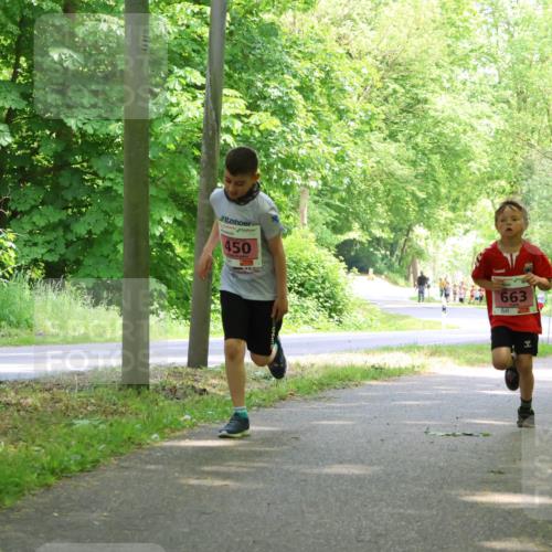 17.05.2025 - Störlauf Strokosch-Dieckow http://msf.ph/oto/7849659 17.05.2025 13:55:25 Laufen 450, 663, 386 meine-sportfotos.de