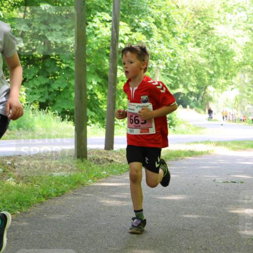 17.05.2025 - Störlauf Strokosch-Dieckow http://msf.ph/oto/7849663 17.05.2025 13:55:26 Laufen 2025, 450, 665 meine-sportfotos.de