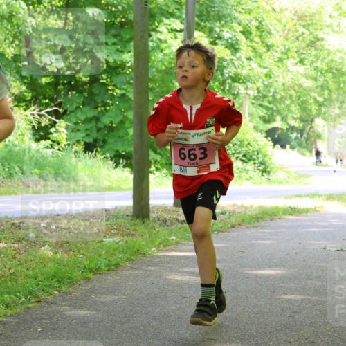 17.05.2025 - Störlauf Strokosch-Dieckow http://msf.ph/oto/7849669 17.05.2025 13:55:27 Laufen 2025, 450, 2025, 663 meine-sportfotos.de