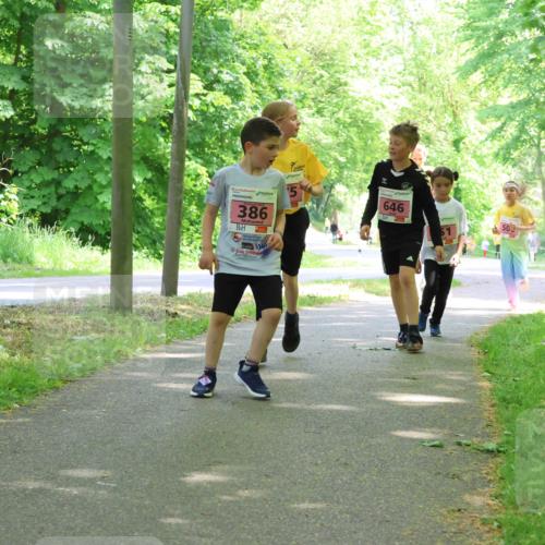 17.05.2025 - Störlauf Strokosch-Dieckow http://msf.ph/oto/7849679 17.05.2025 13:55:31 Laufen 386, 646 meine-sportfotos.de
